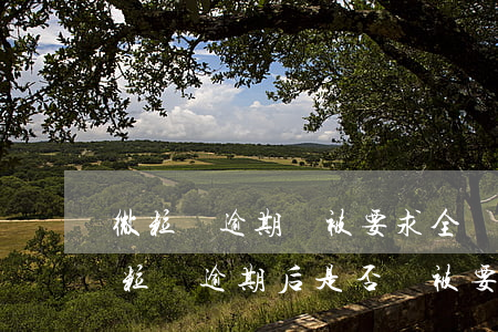 微粒貸逾期會被要求全額還款嗎，全面解析：微粒貸逾期后是否會被要求全額還款？